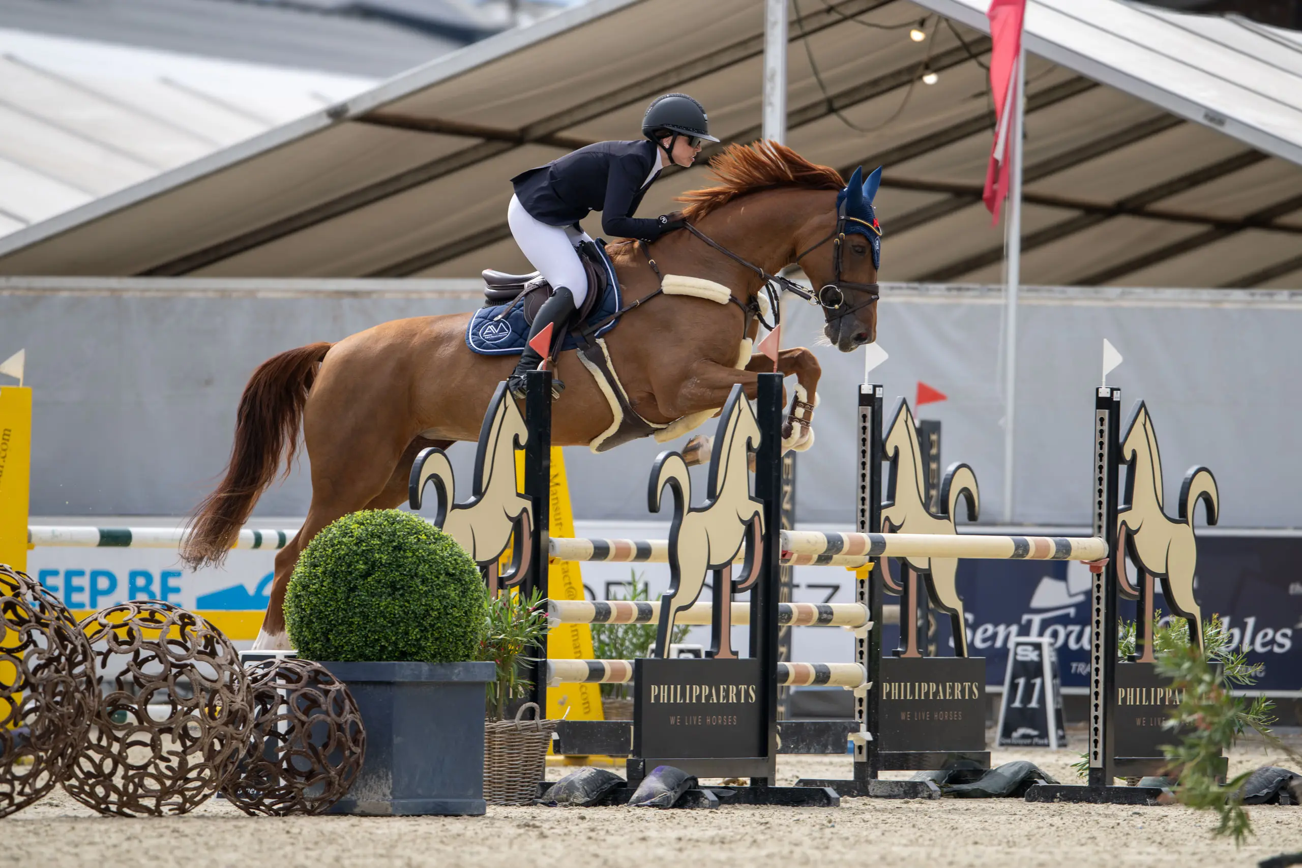 Paard springt over een hindernis met lelie-decor op Azelhof