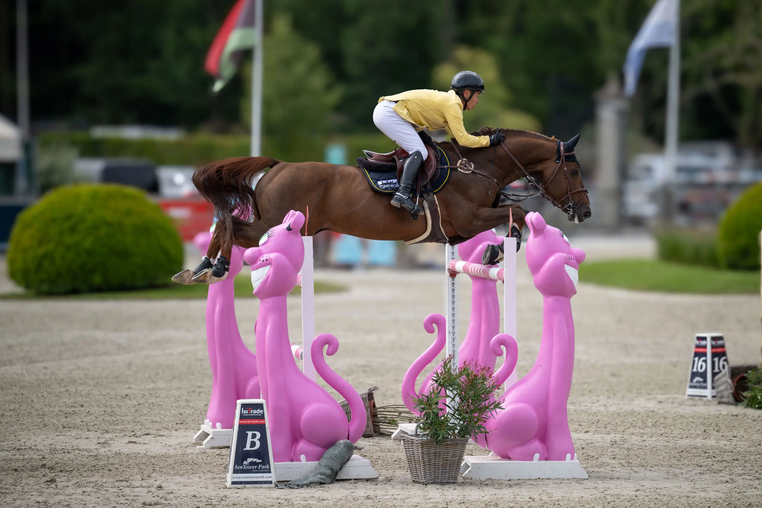 Paard springt over een hindernis met roze panterfiguren op Azelhof