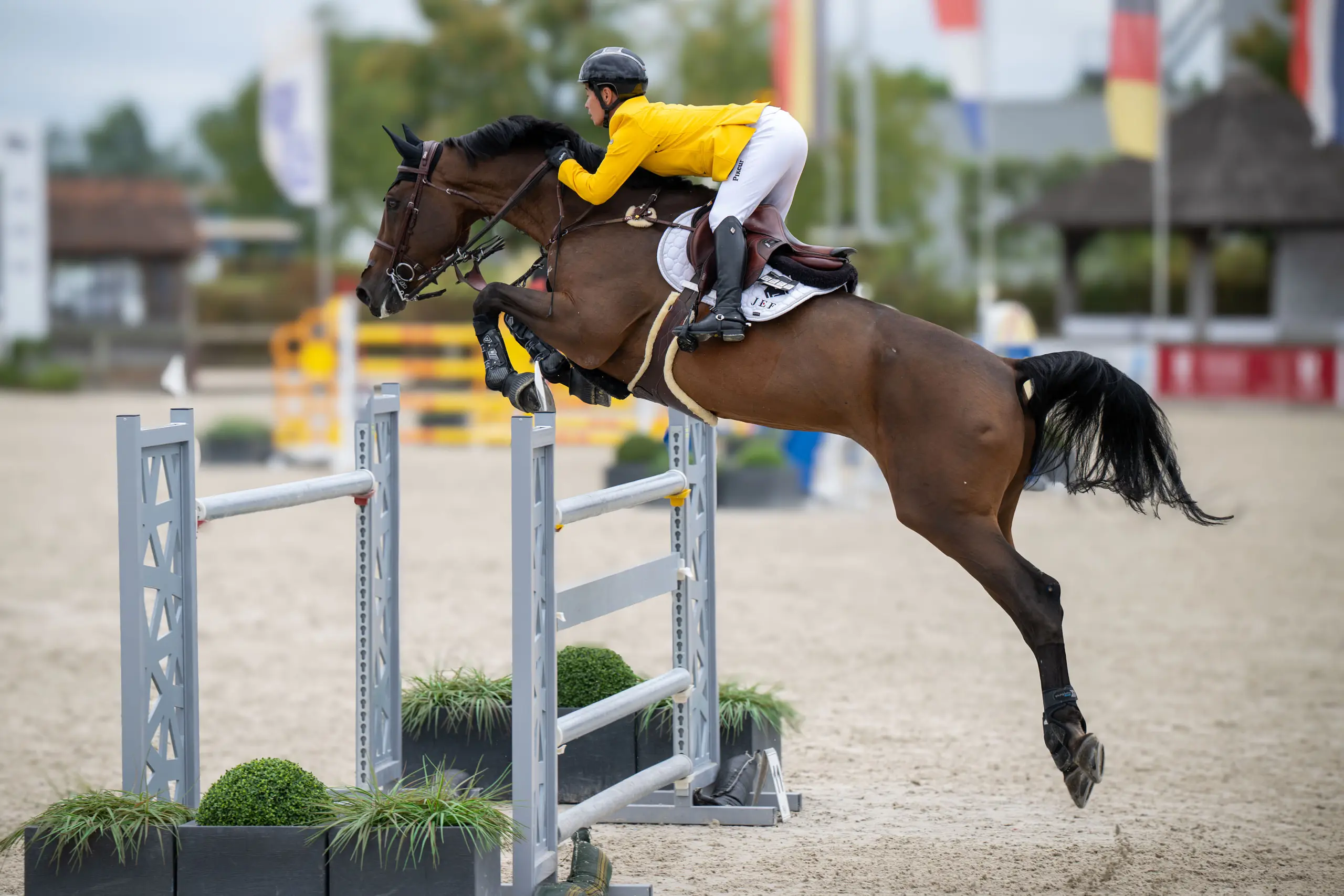 Ruiter in geel jasje springt met een bruin paard over een grijze hindernis op Azelhof
