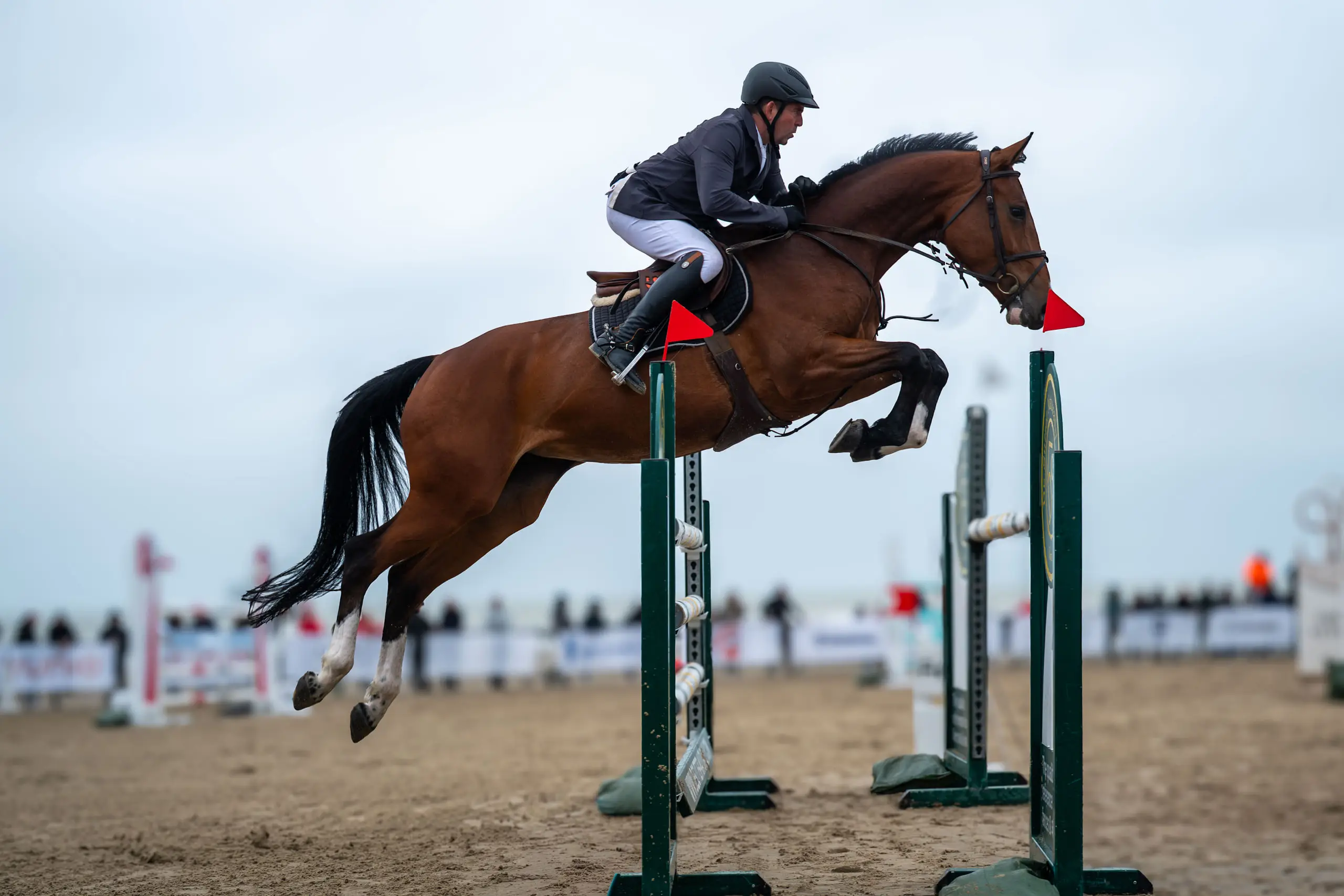 Ruiter springt met een bruin paard over een hindernis op het strand van Middelkerke