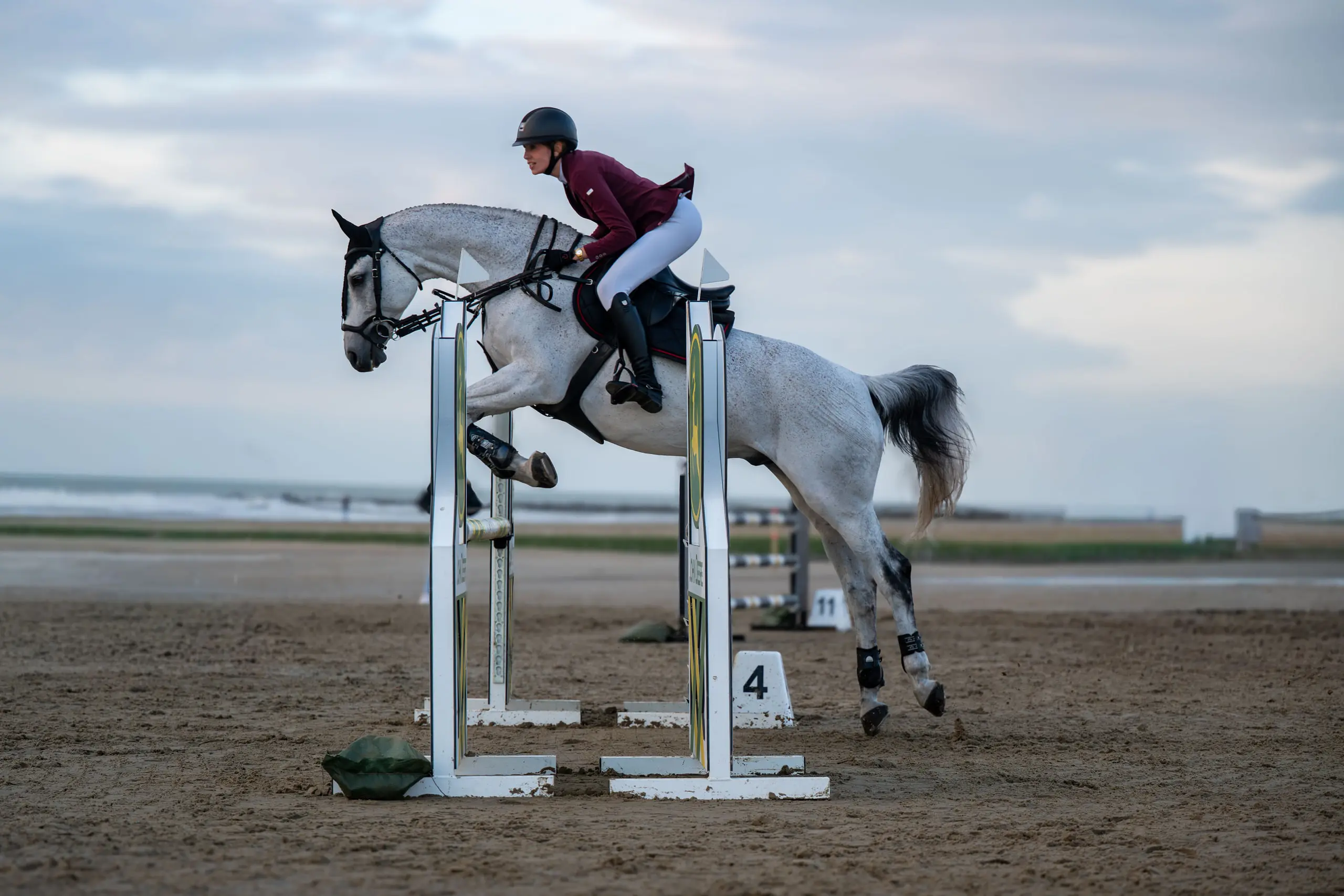 Schimmel springt over een hindernis op het strand