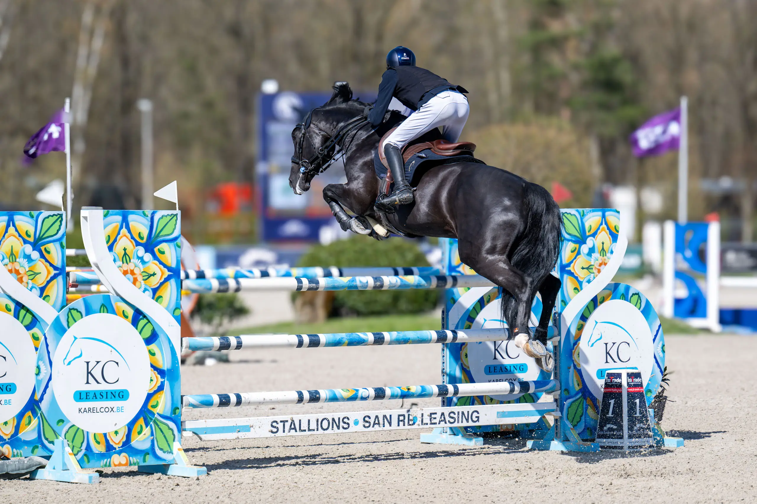 Zwart paard springt over een blauw-witte hindernis op Sentower Park