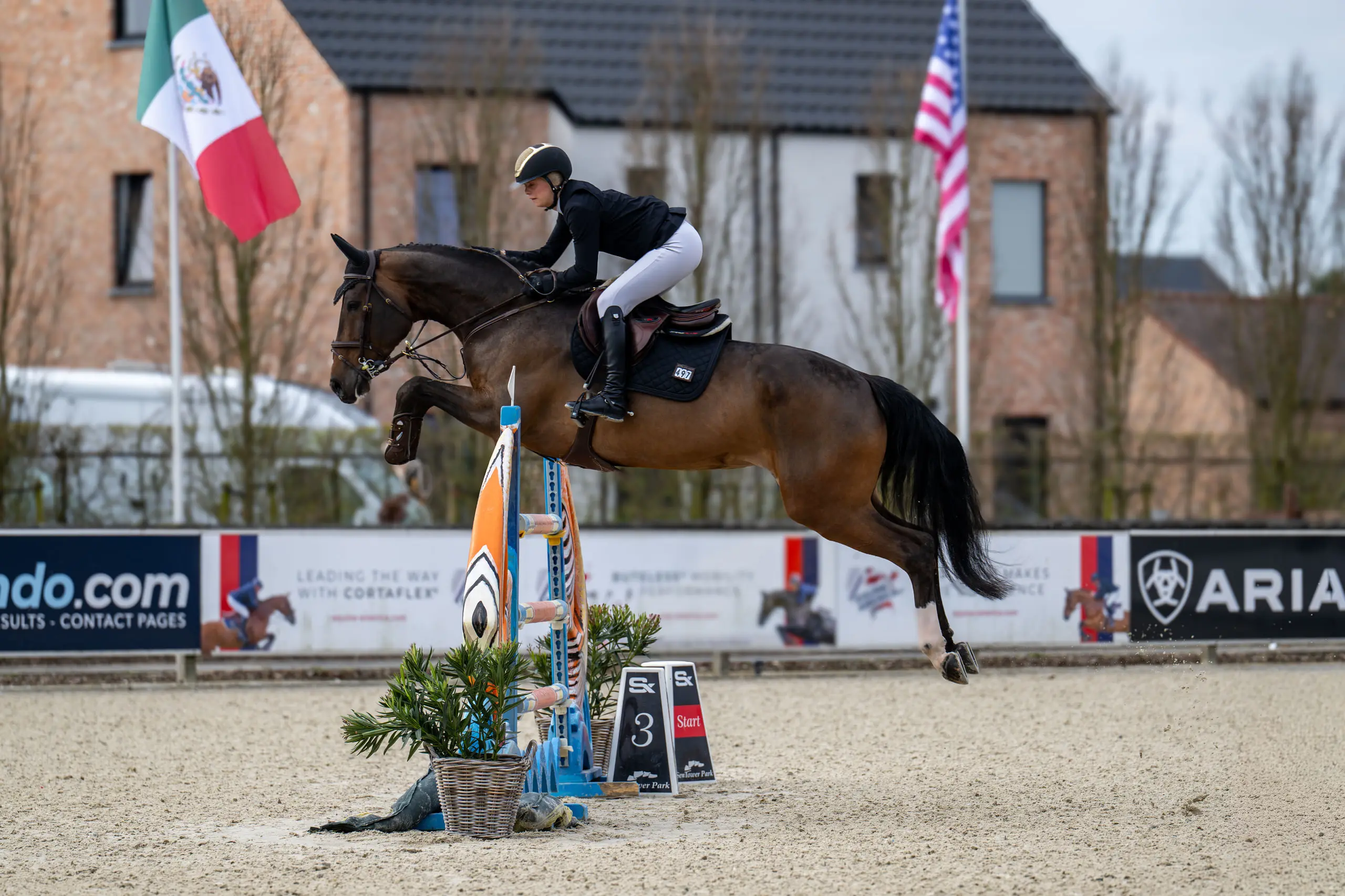 Paard en ruiter boven een hindernis op Sentower Park, met vlaggen op de achtergrond