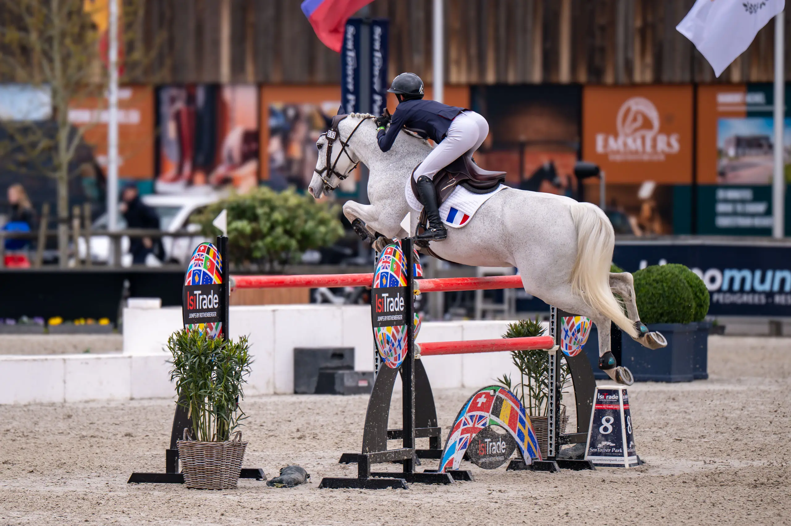 Schimmel springt over een hindernis op Sentower Park